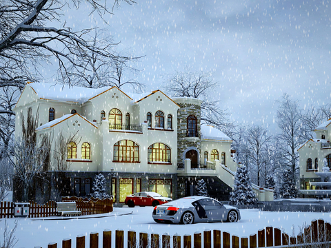 European style villa snow view single-family villa appearance