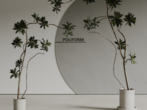 poliform potted plant