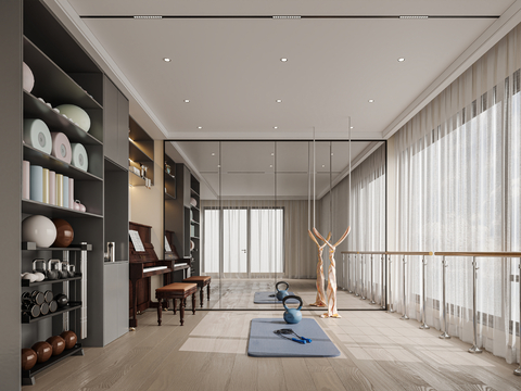 Modern home dance gym