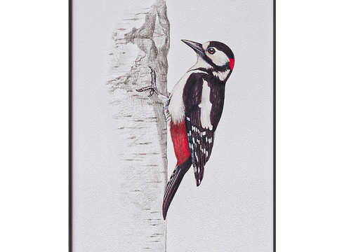 NC Design Hanging Painting Decorative Painting Woodpecker Hanging Painting