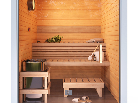 Modern Sauna Room