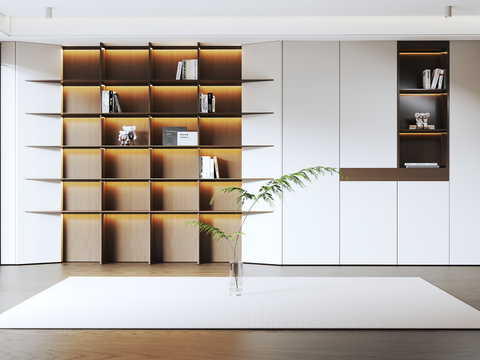 Modern bookcase