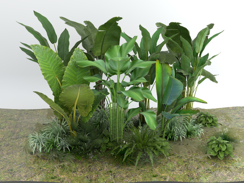 Modern Patio Greening Tropical Greening Heap