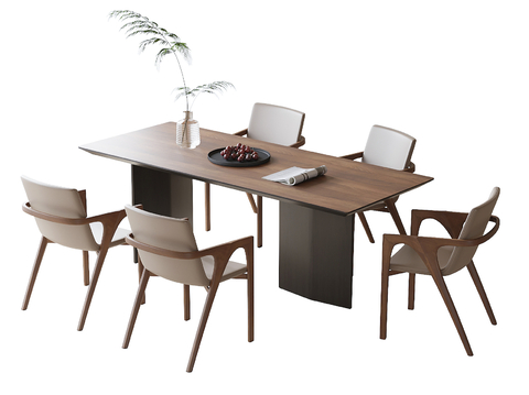 Modern Dining Table and Chair