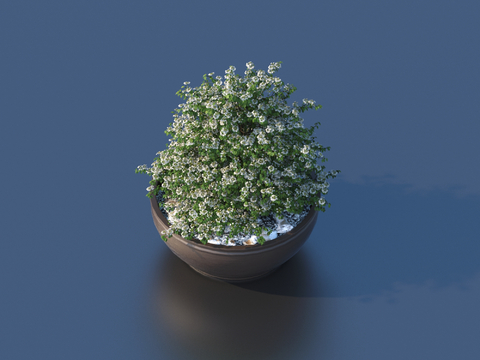 flowerpot potted plant