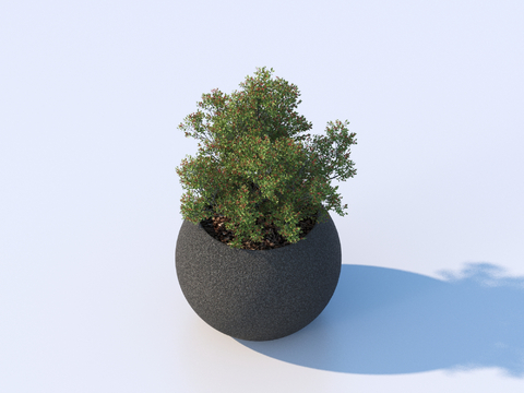 flowerpot potted plant