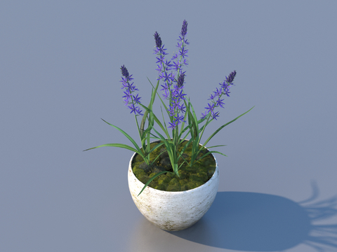 flowerpot potted plant