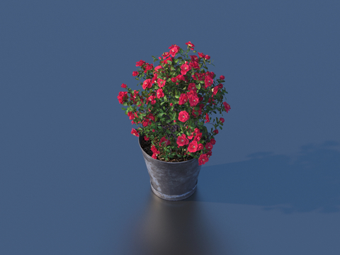 flowerpot potted plant