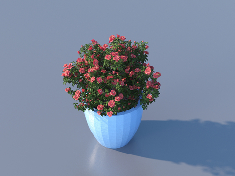 flowerpot potted plant