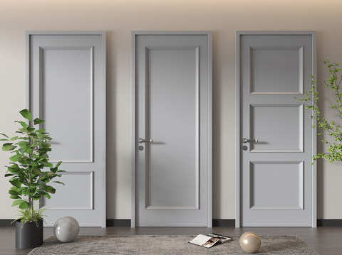 Modern single door interior door door