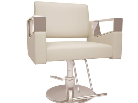 Modern Functional Chair Beauty Chair Barber Chair