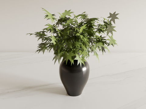 hydroponic green plant vase floral art