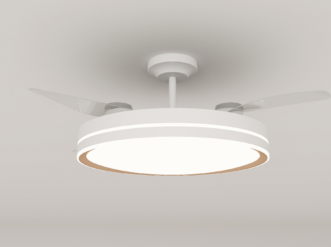 Modern fan light ceiling fan light