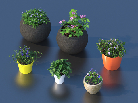 flowerpot potted plant green plant