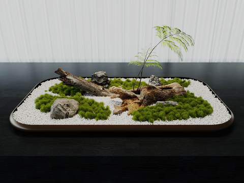 Modern Green Plant Moss Bonsai