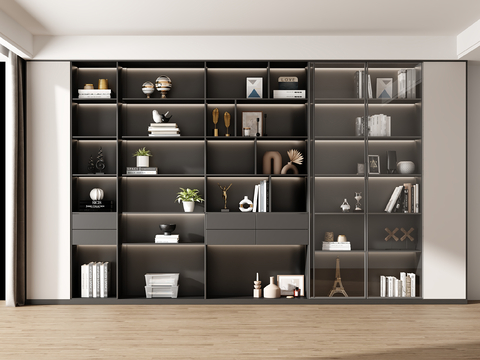 Modern Bookcase Showcase