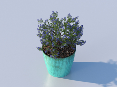 flowerpot potted plant