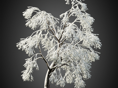 Snow Trees Winter Trees Landscape Trees