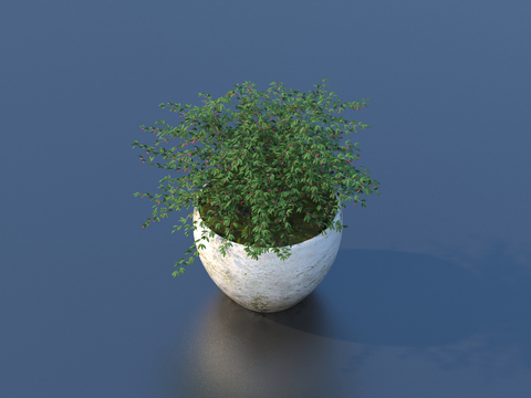 flowerpot potted plant green plant