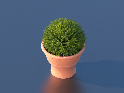 flowerpot potted plant green plant