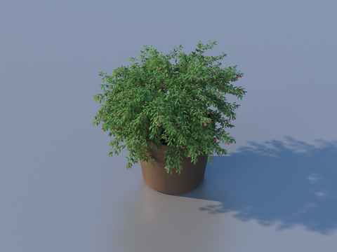 flowerpot potted plant green plant