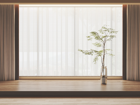 Modern Curtain Window Screen