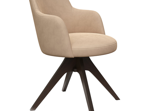 Modern Chair Lounge Chair Dining Chair