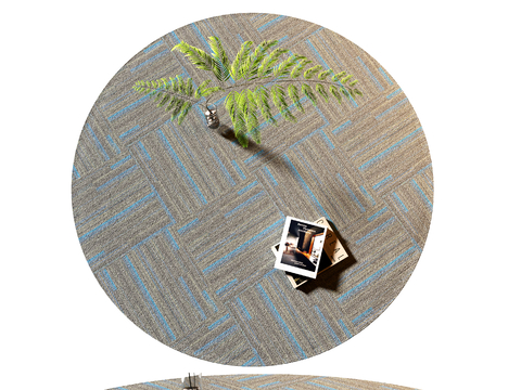 Modern Round Carpet