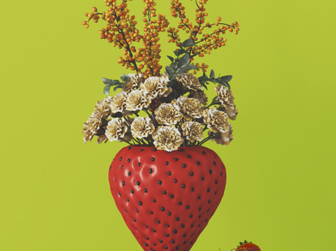 Strawberry Vase Flower Floral Art