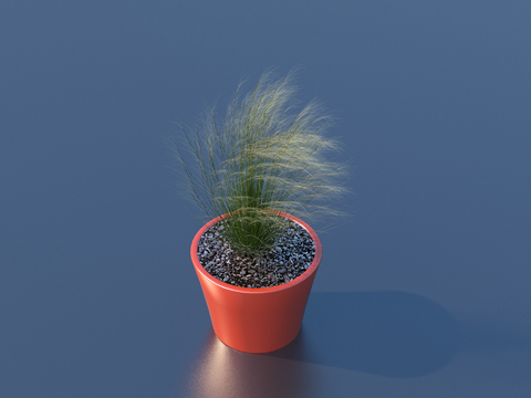 flowerpot potted plant green plant