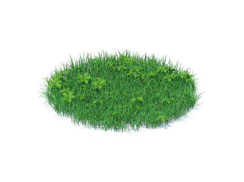 grass lawn