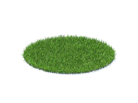 grass lawn