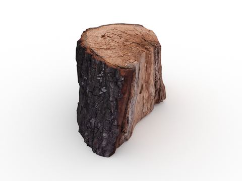 wood stump wood stump