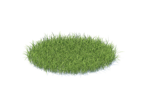 grass lawn