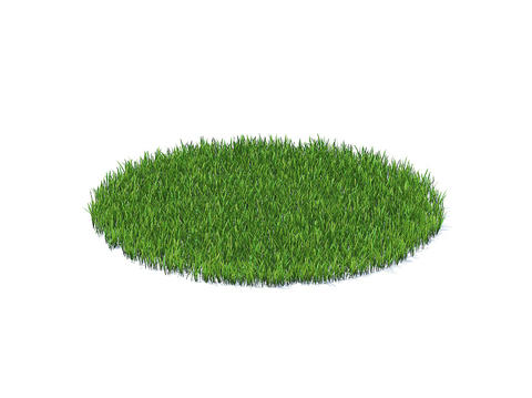 grass lawn