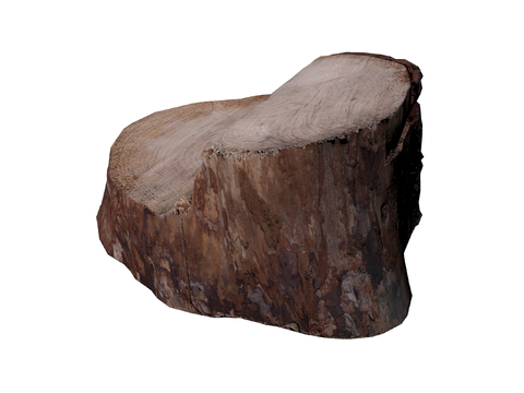 wood stump wood stump