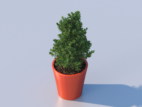 flowerpot potted plant green plant