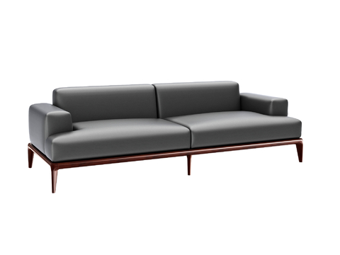 Modern double sofa