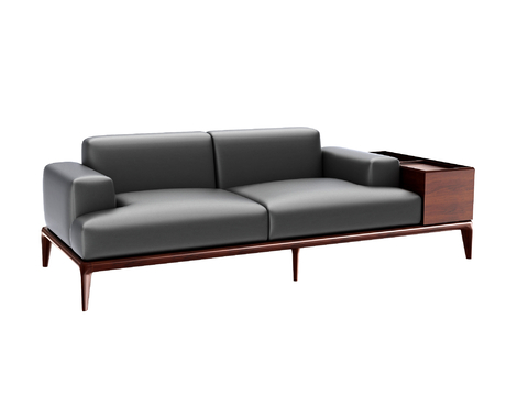 Modern double sofa