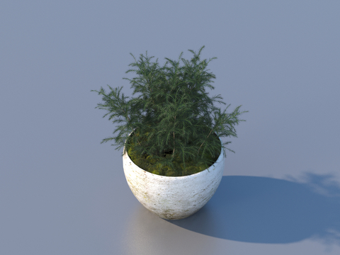 flowerpot potted plant green plant