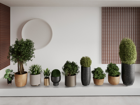 spherical potted plants round potted plants oval potted plants potted plants