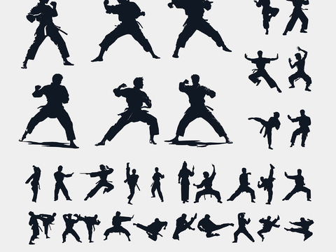 Martial Arts Taekwondo Silhouette