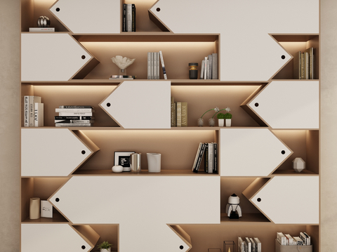 Modern Bookcase Showcase