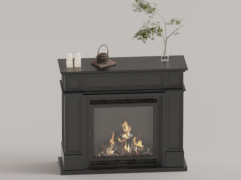 European Fireplace Flame