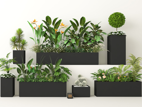 modern potted plant