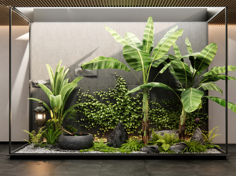 Modern Indoor Landscape Plants