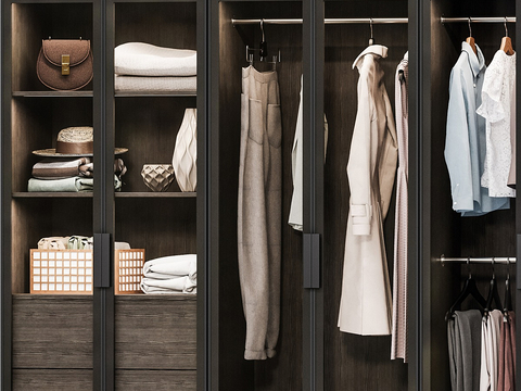 Modern Wardrobe Closet