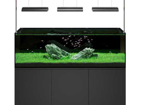 ecological fish tank aquarium