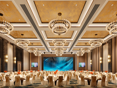 Modern Ballroom Ceiling