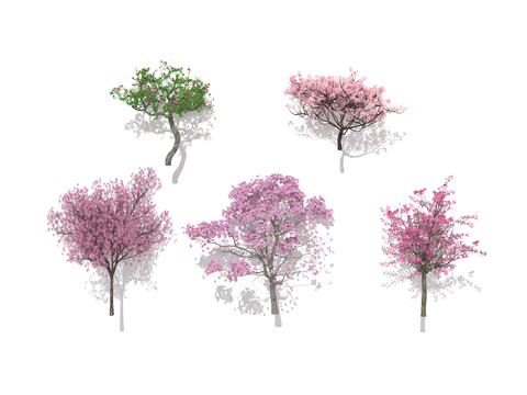 Landscape Tree Cherry Tree Peach Tree Green Peach Kapok Tree Street Tree